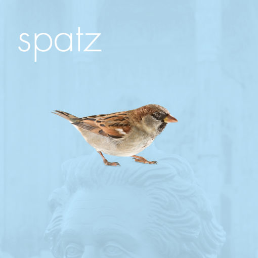 spatz