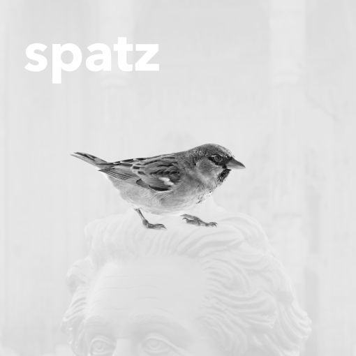 spatz