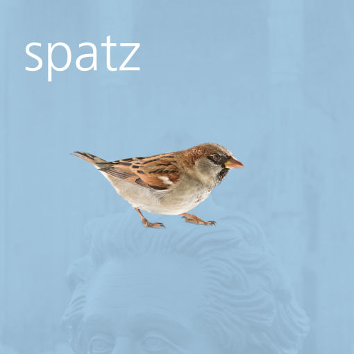 spatz